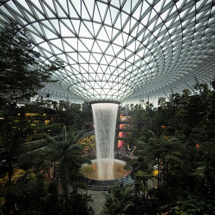 Dining out as an expat family in Canada